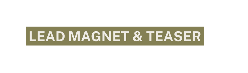 LEAD Magnet teaser